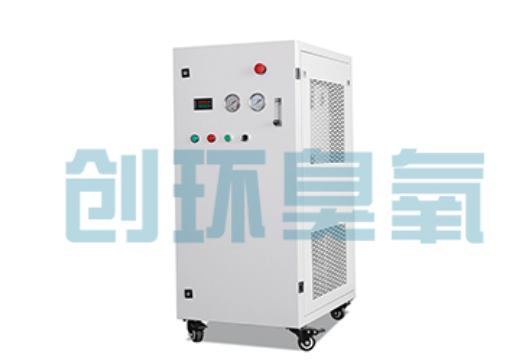 丰南石斑鱼养殖水质调控完整指南：臭氧发生器配置与操作步骤