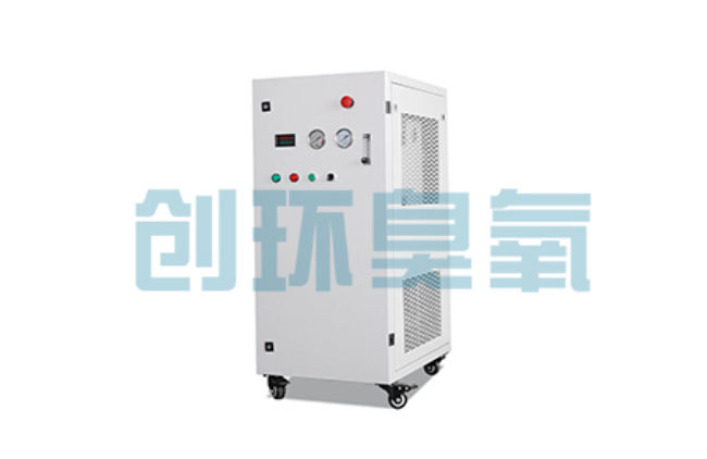 丰南比传统换水更高效？臭氧发生器在石斑鱼养殖中的水质净化原理解析